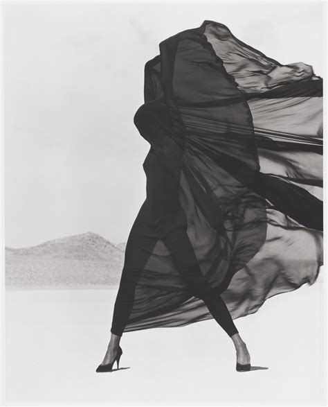 herb ritts versace|Versace Veiled Dress, El Mirage – Works – Museum of Fine Arts, .